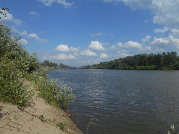 4533467_DSCN78371 (700x525, 252Kb)