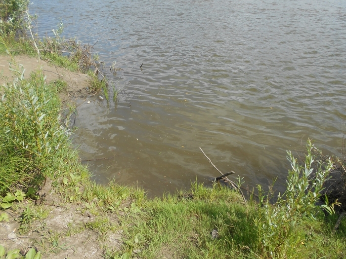 4533467_DSCN78391 (700x525, 331Kb)