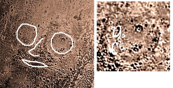 7290692_15_06_25g__Plyton_1_1 (590x300, 106Kb)