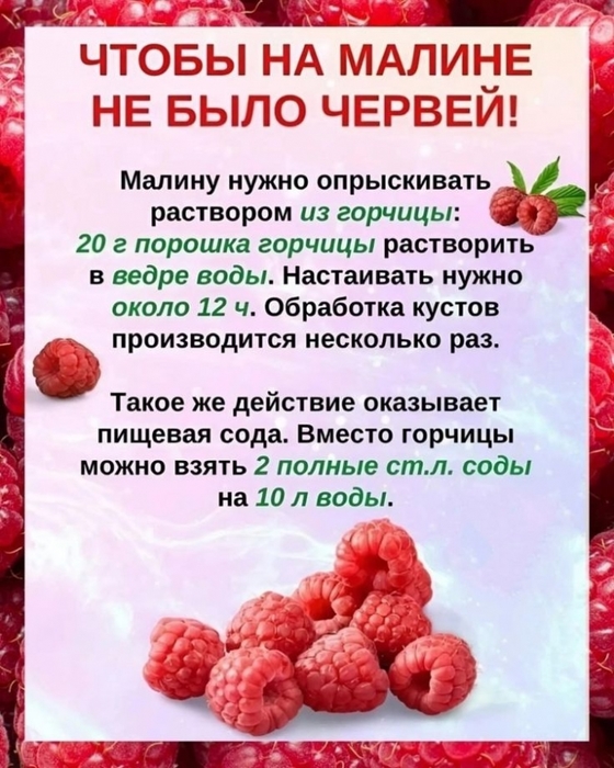 5159196_26998019062eb8ccdcc1ec45a0e9d783 (560x700, 281Kb)