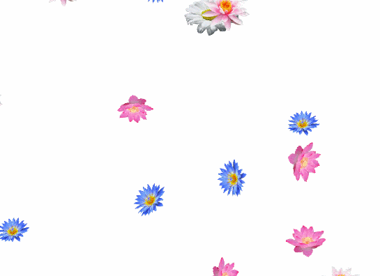 конфетти цветы (545x396, 1228Kb)