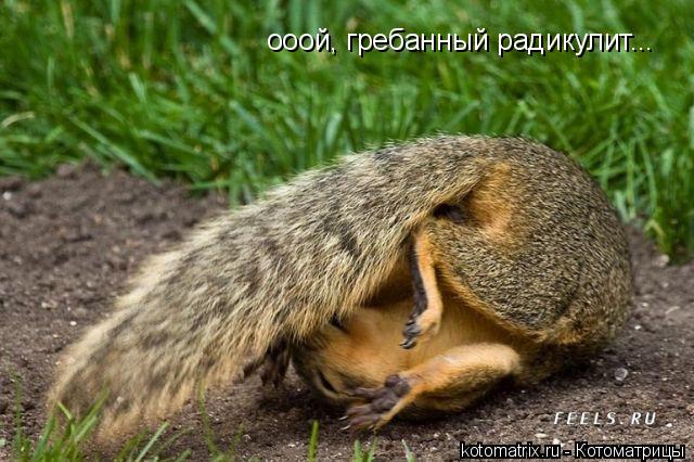 4743317_GZ (640x426, 63Kb)