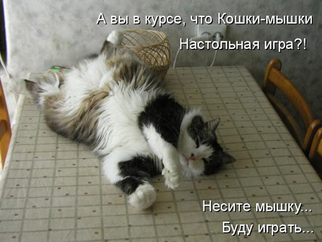 4743317_i25555 (640x480, 78Kb)