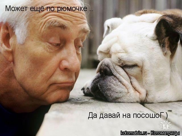4743317_1p (640x480, 46Kb)