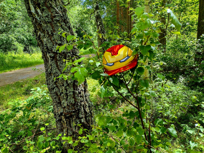 IMG_20250713_140504809_HDR (700x525, 687Kb)