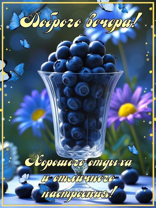 IMG_20250716_163419 (525x700, 72Kb)