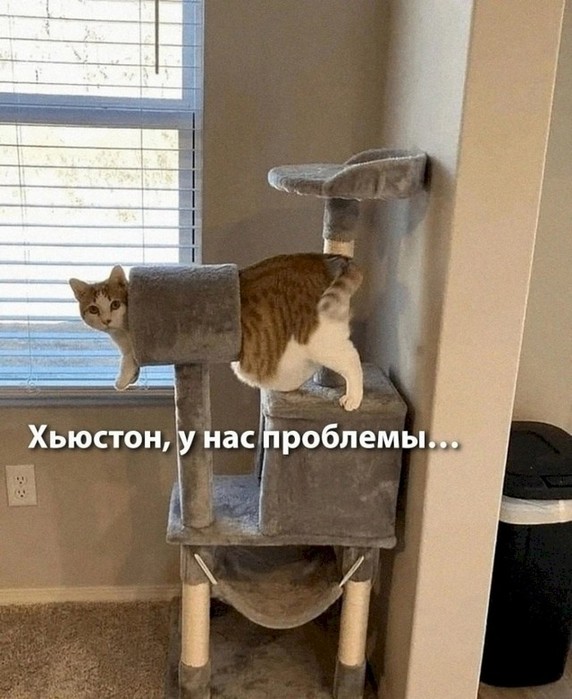 4743317_7c31c2cc (572x700, 93Kb)