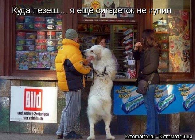 4743317__7 (640x461, 59Kb)