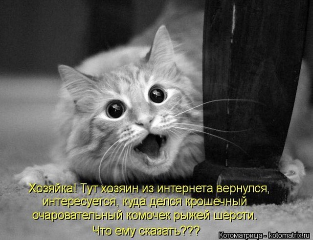 4743317_i5886 (640x492, 79Kb)