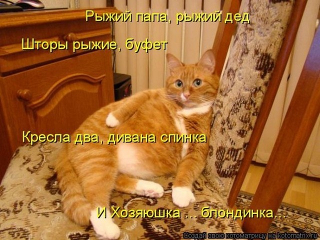 4743317_i5885 (640x480, 89Kb)