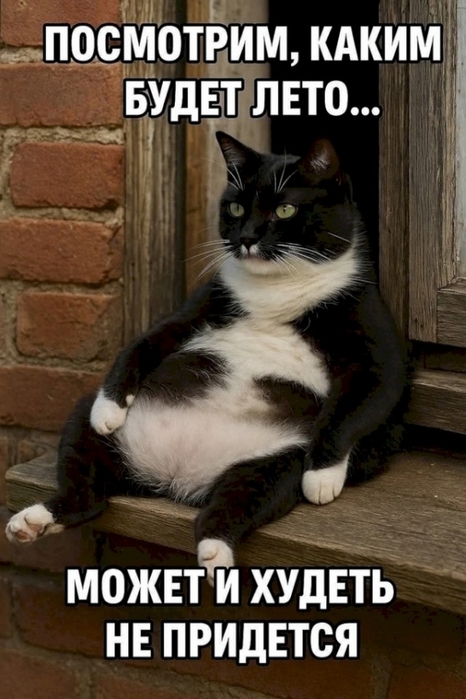 4743317_29d7ff88 (466x700, 221Kb)