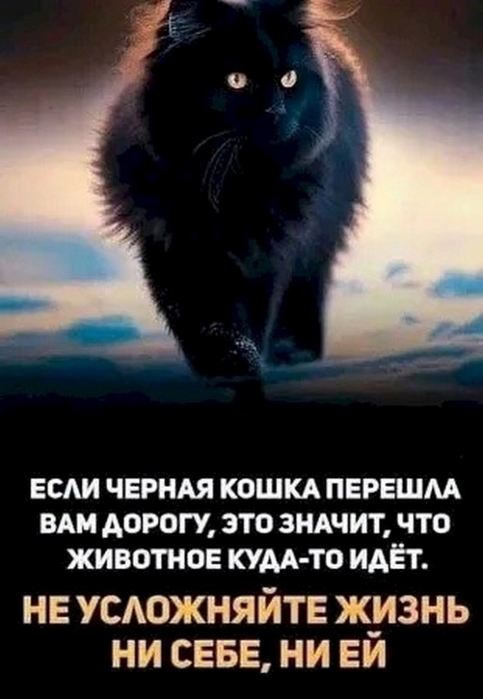 4743317_09a4bf88 (483x700, 151Kb)