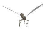 4709286_komarik_malii_letit (150x111, 10Kb)