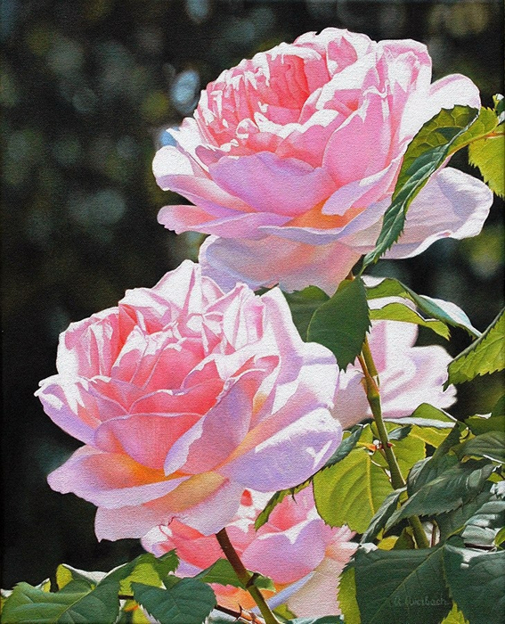 519569955_1265554364976757_8921464745787013825_n (567x700, 510Kb)