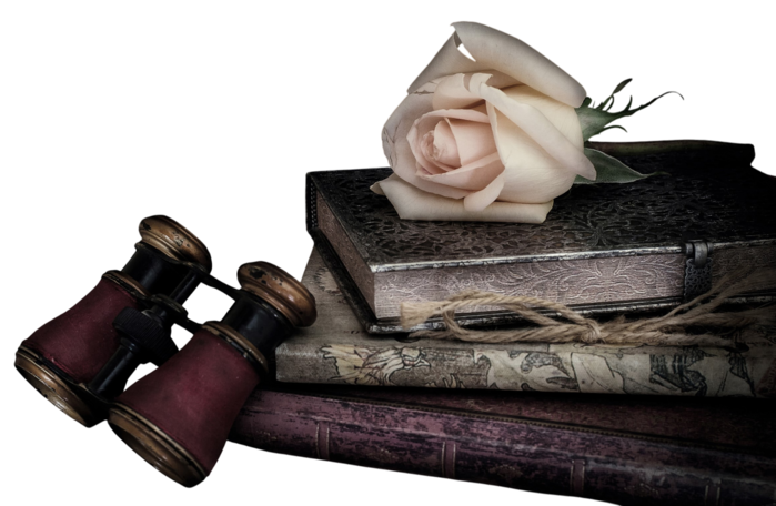 roza-buton-knigi-binokl-stil67777-Photoroom (700x456, 342Kb)
