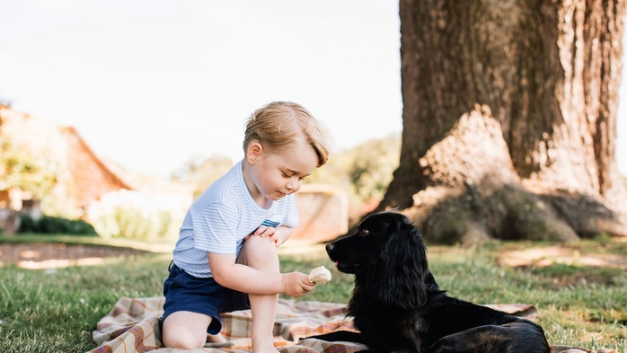 6576548_skynewslupogeorgeprincegeorge_4267158 (700x393, 177Kb)