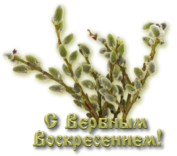 5152557_152381551_s_prazdnikom (576x505, 349Kb)