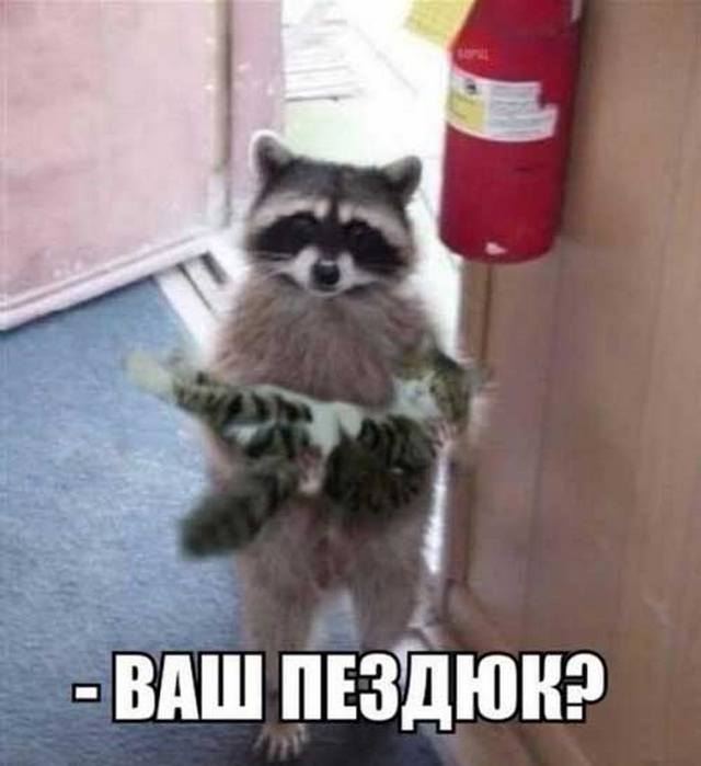 4743317_fotoprozhivotbyh06 (640x699, 36Kb)