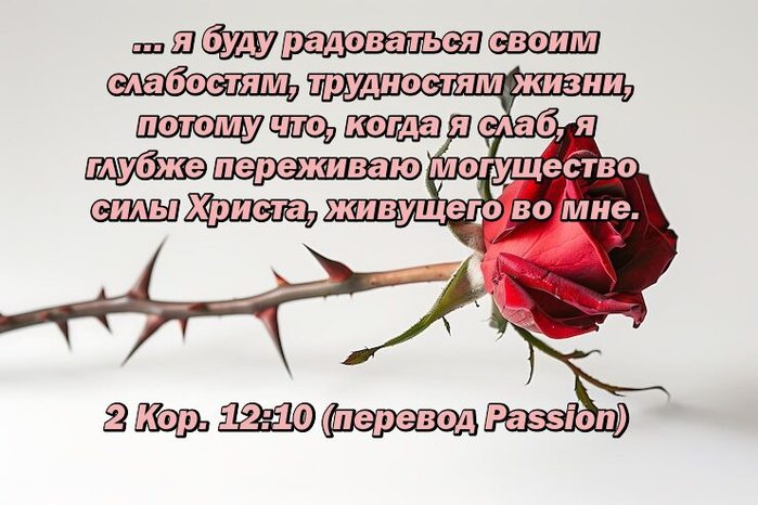 qqwpNcWKnXx3 (700x466, 65Kb)