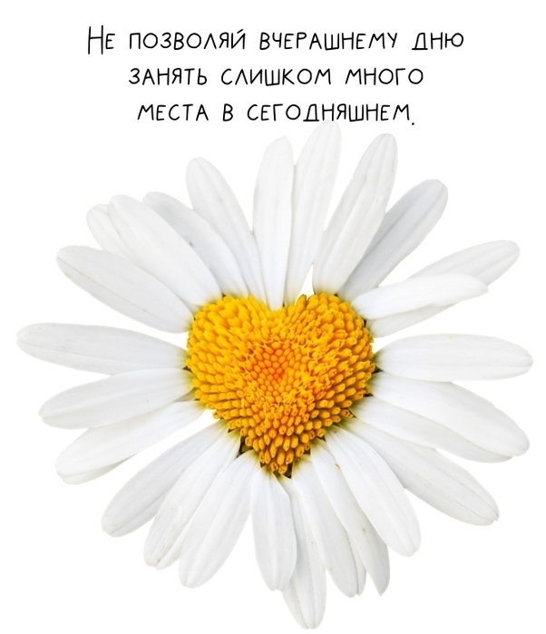 Qt_QkAUfJdHHxy9NDeDWmus54iuucsokz7MZ_Ya4OUVIyUbiwWMGOawIGPSDoc7kFSJ2y8uNx7nu42ogqTpJTD1_ (602x700, 143Kb)