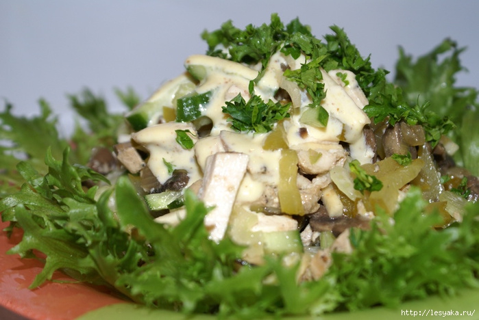 100712635_large_3925073_salatangliiskiiskuricei185286 (699x468, 194Kb)