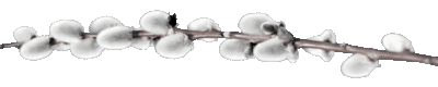 5634411_2 (400x80, 153Kb)