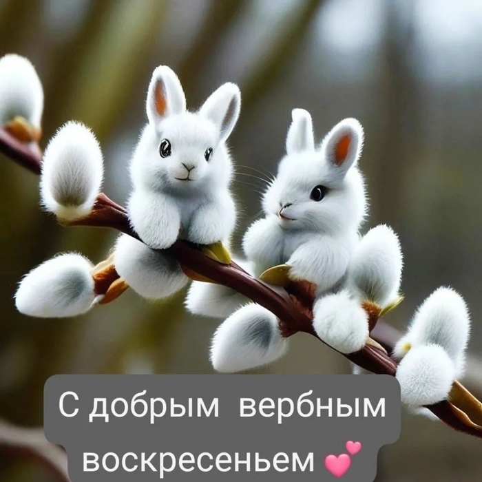 5152557_iG_BPKu_Vc4 (700x700, 249Kb)
