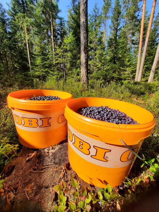 111 (525x700, 475Kb)