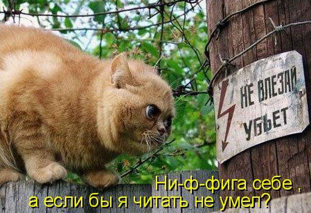 4743317_i8565 (640x439, 119Kb)