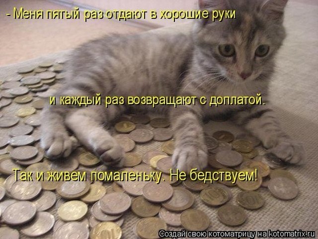 4743317_i6507 (640x480, 84Kb)
