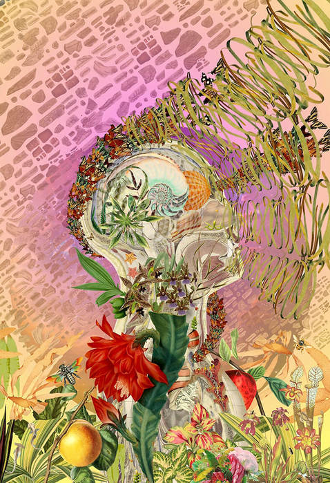 content___1 (478x700, 114Kb)