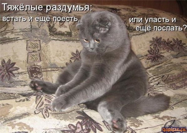 4743317_i23786_1_ (600x429, 81Kb)
