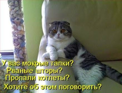 4743317_i23787 (426x326, 46Kb)