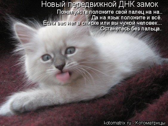 4743317_zo (563x422, 46Kb)