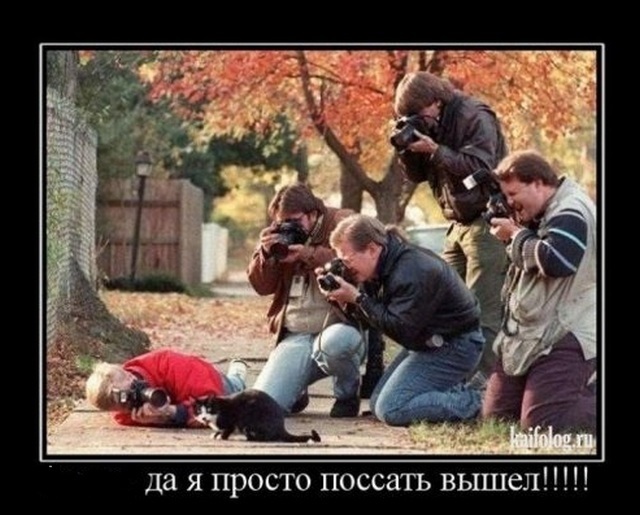 4743317_1255414985_146 (640x515, 108Kb)
