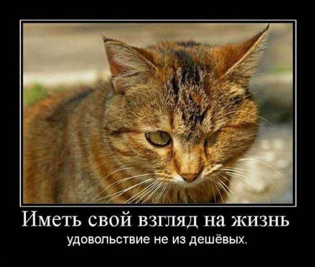 4743317_1442382286_03 (640x542, 40Kb)