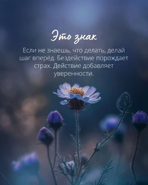 e0897642259625969885c920da94c1f6 (560x700, 163Kb)