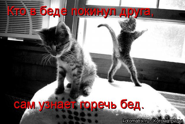 4743317_CX (640x427, 50Kb)