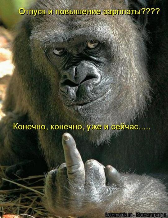 4743317_wq (541x700, 71Kb)