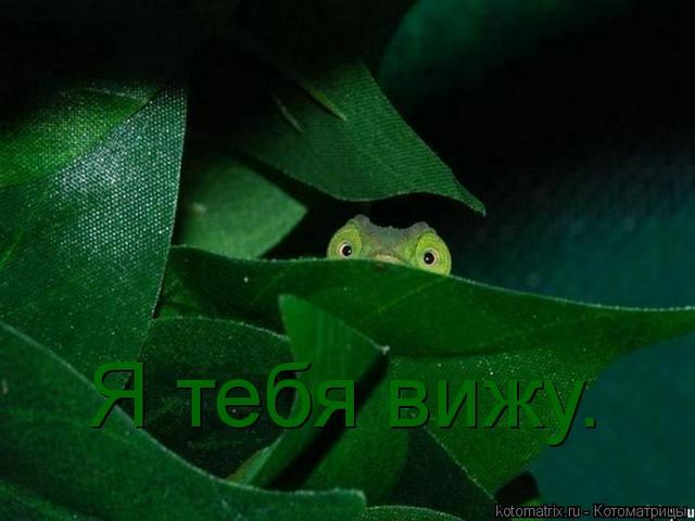 4743317_6q (640x480, 32Kb)