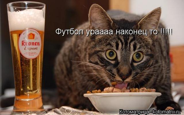 4743317_i24221 (640x400, 40Kb)
