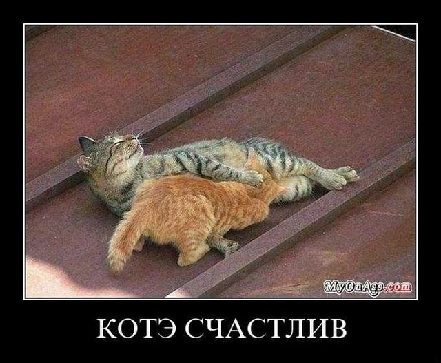 4743317_demotivatory_41 (640x527, 62Kb)