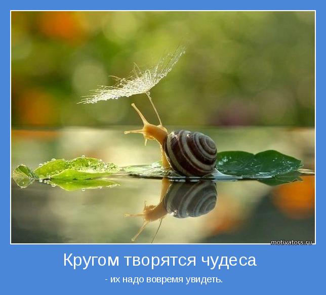 4743317_motivator69809 (644x583, 40Kb)