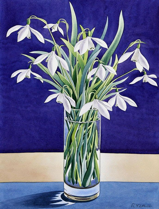 Christopher Ryland п (533x700, 439Kb)