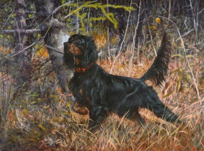 bobbertramgordonsetter (700x516, 409Kb)