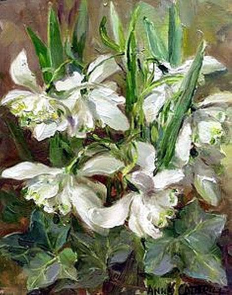 Anne Cotterill , (471x597, 273Kb)