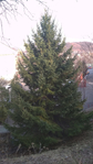  cbbebcb8-1be8-4dac-8729-5accf1ddf843 (393x700, 283Kb)