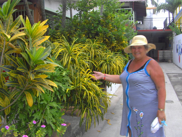 PICT0366 (600x450, 336Kb)