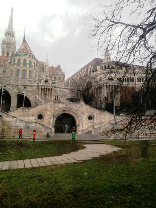 IMG_0171 (525x700, 458Kb)