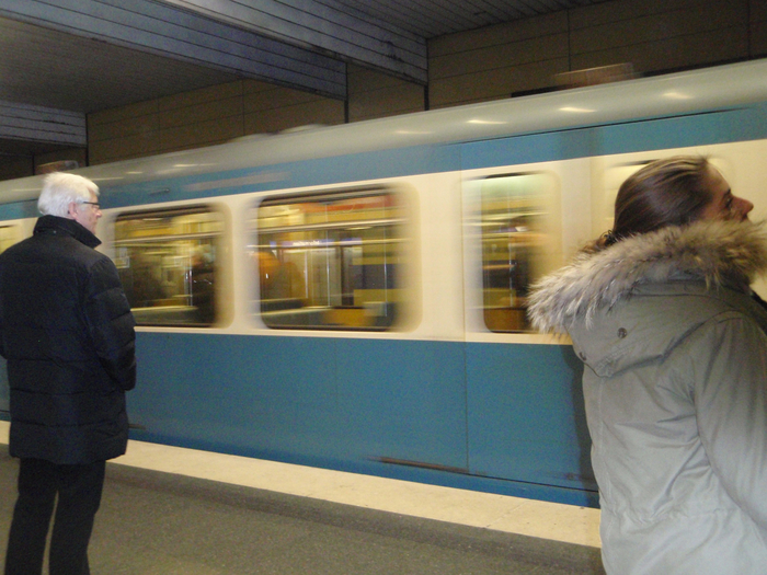 P1020281 (700x525, 458Kb)